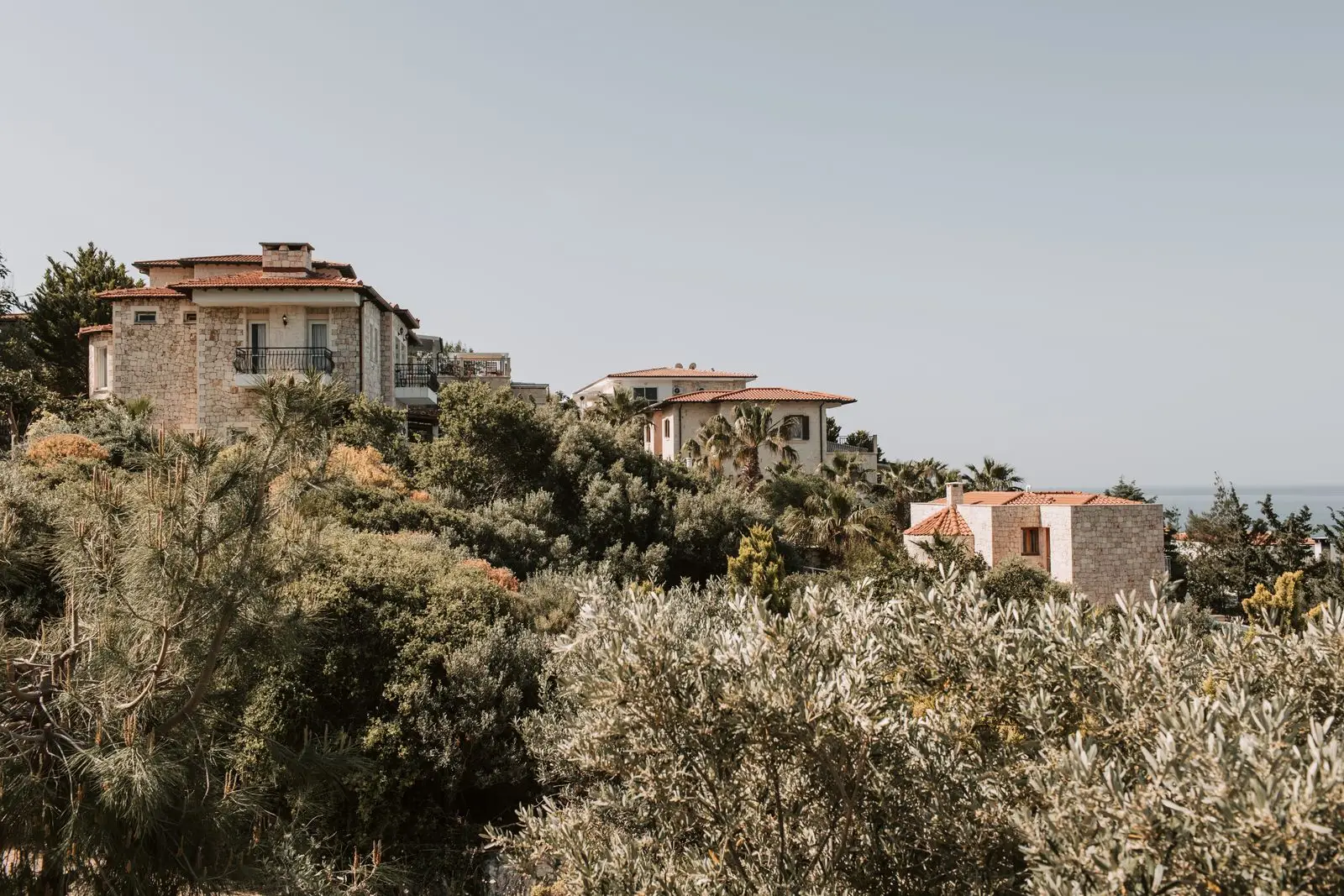 Hillside village between olive trees on the Mediterranean coast