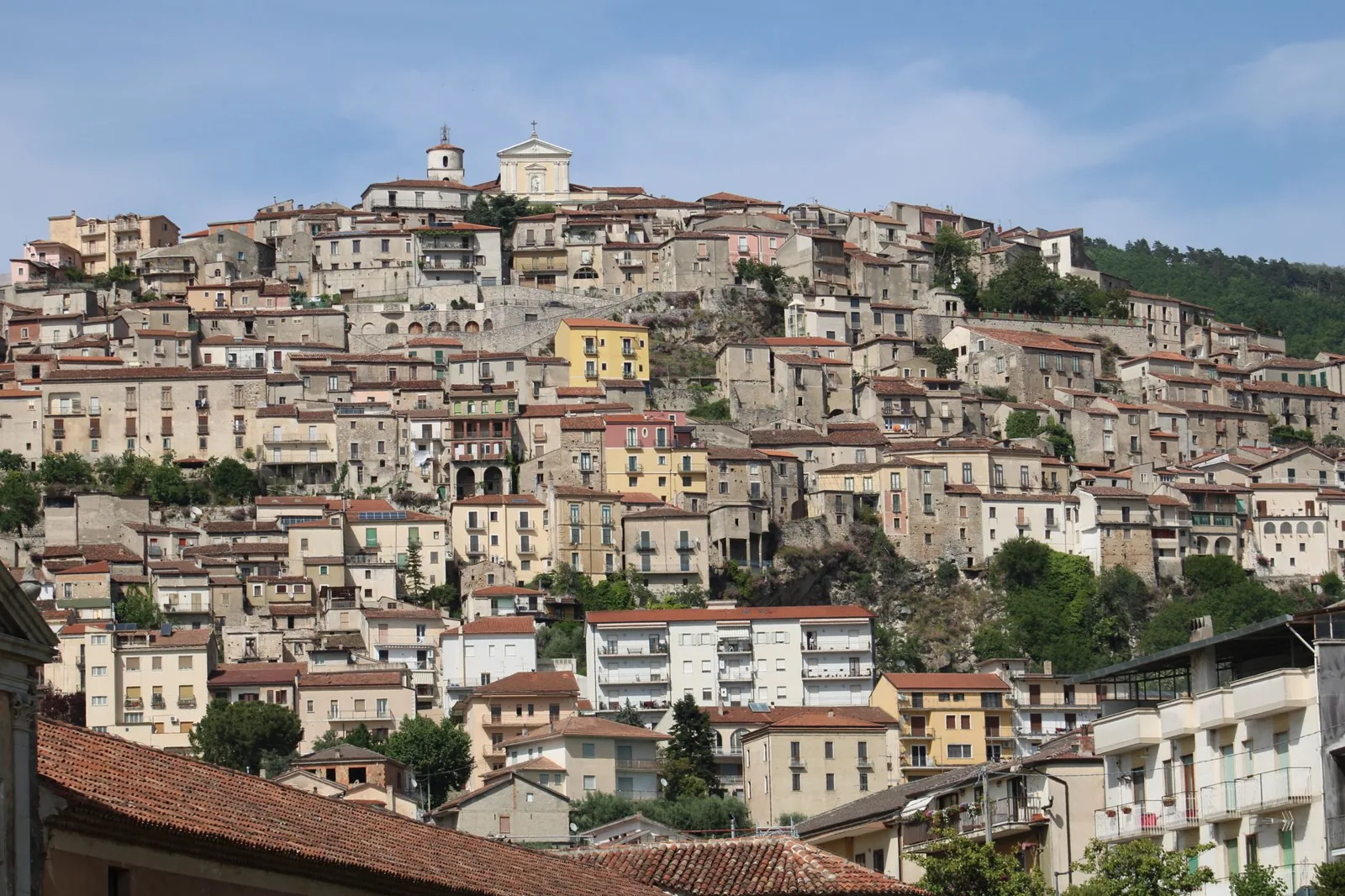 Stunning hillside architecture of Padula in Campania, Italy, showcasing historic urban landscape.